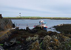 Shoreline, Light House Island Geograph-2464389-by-Rossographer.jpg