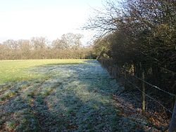Frosted field on Hinksey Hill - geograph.org.uk - 332653.jpg