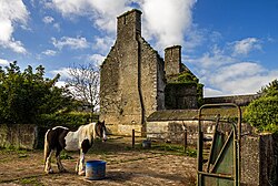 Castles of Munster, Ballyduff, Waterford - revisited (1) - geograph.org.uk - 6277226.jpg