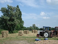 Hay making at Denton Farm - geograph.org.uk - 467492.jpg