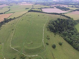 Old Winchester Hill hill fort.jpg