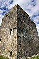 Castles of Munster, Ballymalis, Kerry (2) - geograph.org.uk - 1392752.jpg