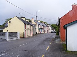 Main street, Drinagh - Paddock Townland (geograph 2444056).jpg