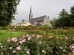 The Rose Garden , Town Park, Tralee - geograph.org.uk - 332932.jpg