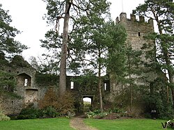 Tower and ruined wall, Grey's Court.jpg