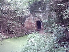Berwick tunnel, the Shrewsbury canal - geograph.org.uk - 81562.jpg