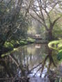 The river south of Ipley Bridge