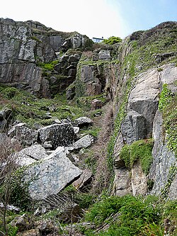 Tregurnow Cliff - geograph.org.uk - 781877.jpg