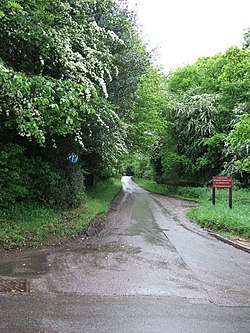 Ashridge Estate lane at Hudnall - geograph.org.uk - 174923.jpg