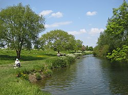 Banks of the Cam at Grantchester.jpg