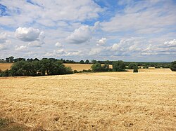 Fields near Westcot - geograph.org.uk - 5065144.jpg