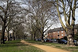 Brook Green Park in London in spring 2013 (4).JPG