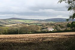 Field at Higher Downs, above Perran Downs, Cornwall - geograph-2695484.jpg