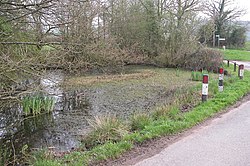 Pond at Bolstone - geograph.org.uk - 158311.jpg