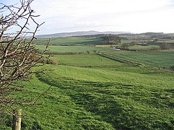 Pasture near West Horton - geograph.org.uk - 312645.jpg