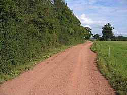 A Red Track in Cheshire - geograph.org.uk - 538821.jpg