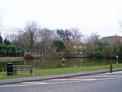 Sherfield on Loddon Duck Pond.JPG