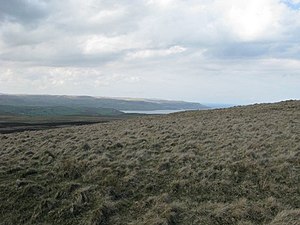 West slope of Black Hill looking towards Carnlough Bay - geograph.org.uk - 779504.jpg