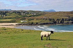 Farr Bay looking from Crask.jpg