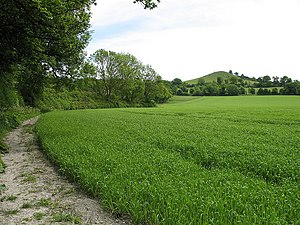 Footpath and Beacon Hill - geograph.org.uk - 181336.jpg