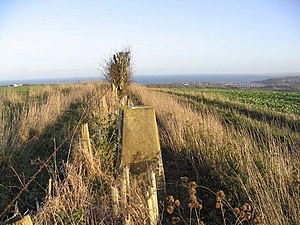The trig point at 163m on Halidon Hill - geograph.org.uk - 276866.jpg