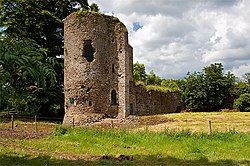 Castles of Munster, Kilbolane, Cork - geograph.org.uk - 1392690.jpg