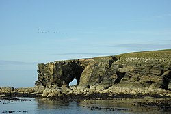 Natural arch through North end of Holm of Faray - geograph.org.uk - 1433812.jpg