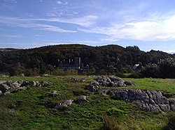 Top of the Mote of Mark - geograph.org.uk - 259782.jpg