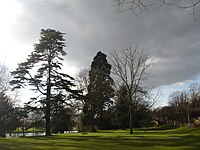 Caversham Court view.jpg