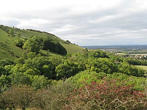 View west to the escarpment of Fulking Hill - geograph.org.uk - 1523707.jpg