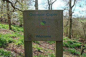 Woodland Trust sign in Oxmoor Copse, Surrey