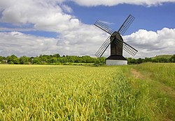 Pitstone Windmill - geograph.org.uk - 1480797.jpg