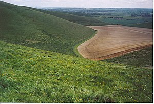 Downland West of Tan Hill. - geograph.org.uk - 185610.jpg