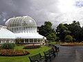 The Palm House