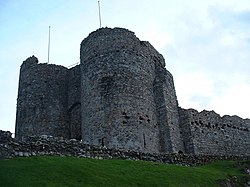 Criccieth Castle - geograph.org.uk - 1287461.jpg