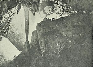Mitchelstown Cave - A mighty column in The Garret (Irish Naturalist 15 Plate I).jpg