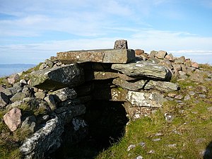 Chambered grave on Carnanmore - geograph.org.uk - 642727.jpg