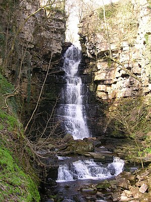 Mill Gill Force, Wensleydale - geograph.org.uk - 1103649.jpg