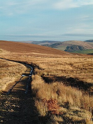Track to Lammer Law - geograph.org.uk - 90317.jpg
