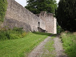 Benburb-Castle-3.jpg