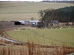Sheep Farm - geograph.org.uk - 121988.jpg