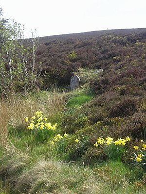The Cheesewell on the Minch Moor - geograph.org.uk - 761673.jpg