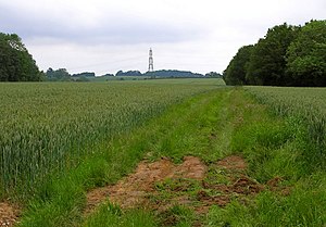 Track Leading to Lilley Hoo - geograph.org.uk - 455633.jpg