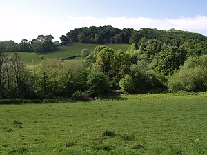 Seaton Down and Holyford valley - geograph.org.uk - 437473.jpg