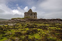 Castles of Munster, Ballinskelligs, Kerry - geograph.org.uk - 1392857.jpg