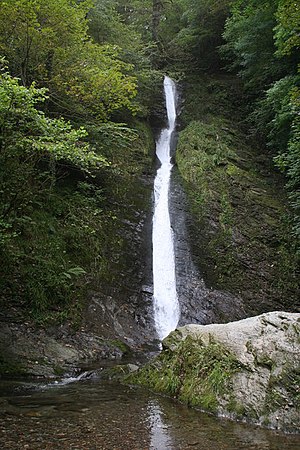 Whitelady waterfall at Lydford Gorge - geograph.org.uk - 903598.jpg