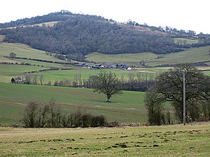Hillside pasture - geograph.org.uk - 1173249.jpg